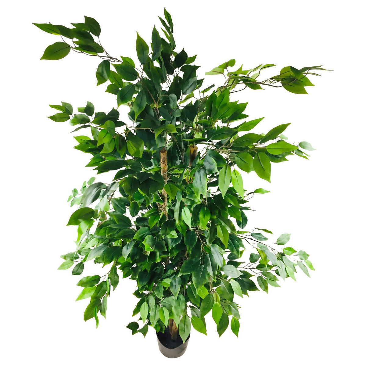 Artificial Large Ficus Tree with Pot, 180cm (5.9ft)