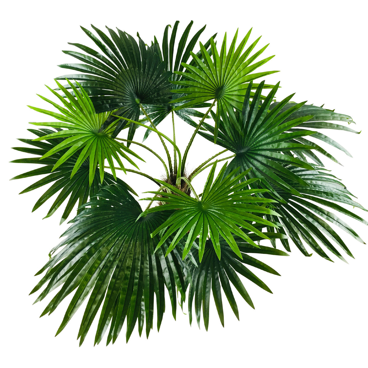 Artificial Large Fan Palm Tree - 12 Leaves, 150cm (5ft)