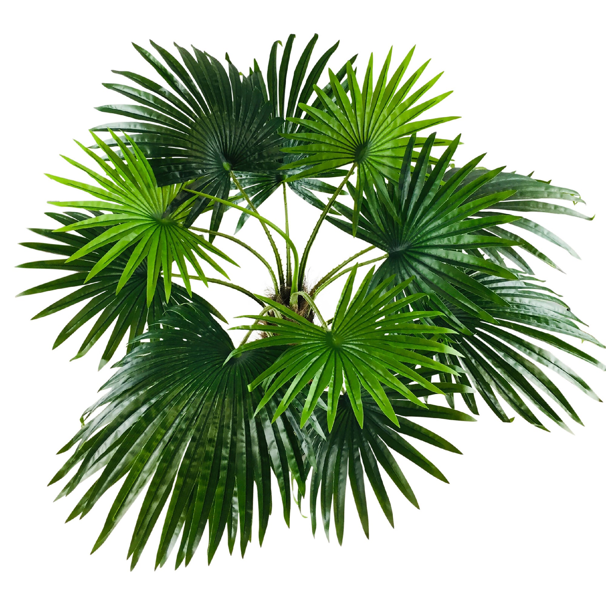 Artificial Large Fan Palm Tree - 12 Leaves, 150cm (5ft)