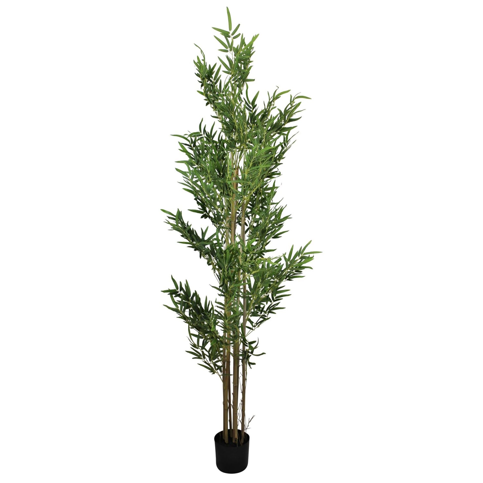 Artificial Bamboo Tree, 7 Real Stems, 200cm (6.7ft)