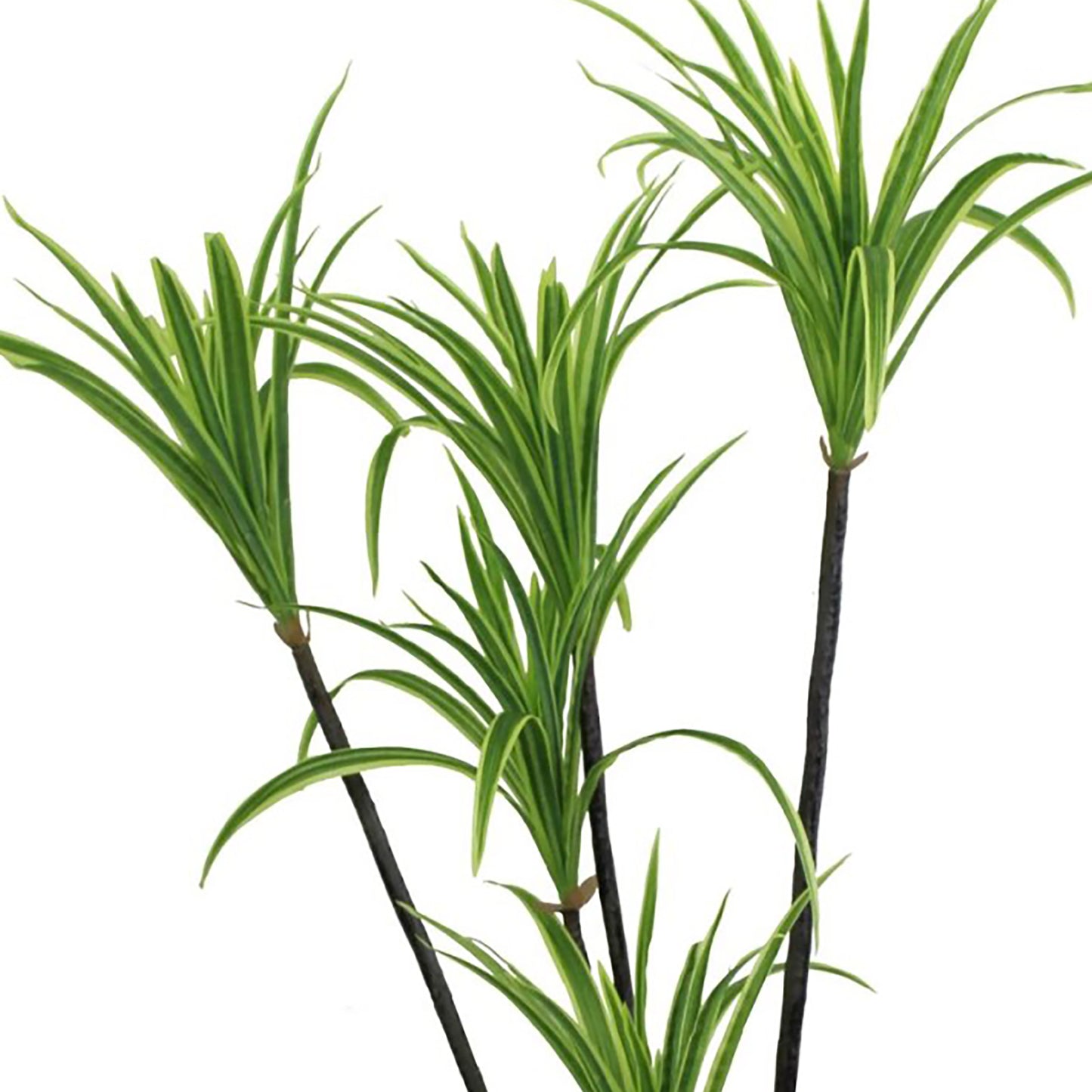 Artificial Dracaena Marginata Tree, 120cm