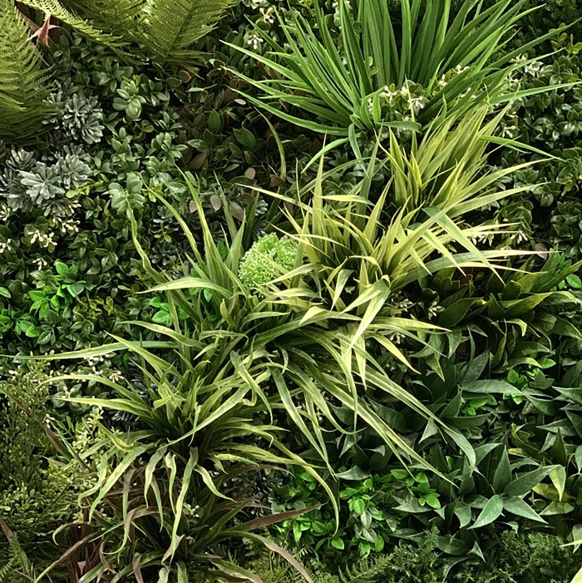 Artificial Green Wall Texture Box -  Large Grasses