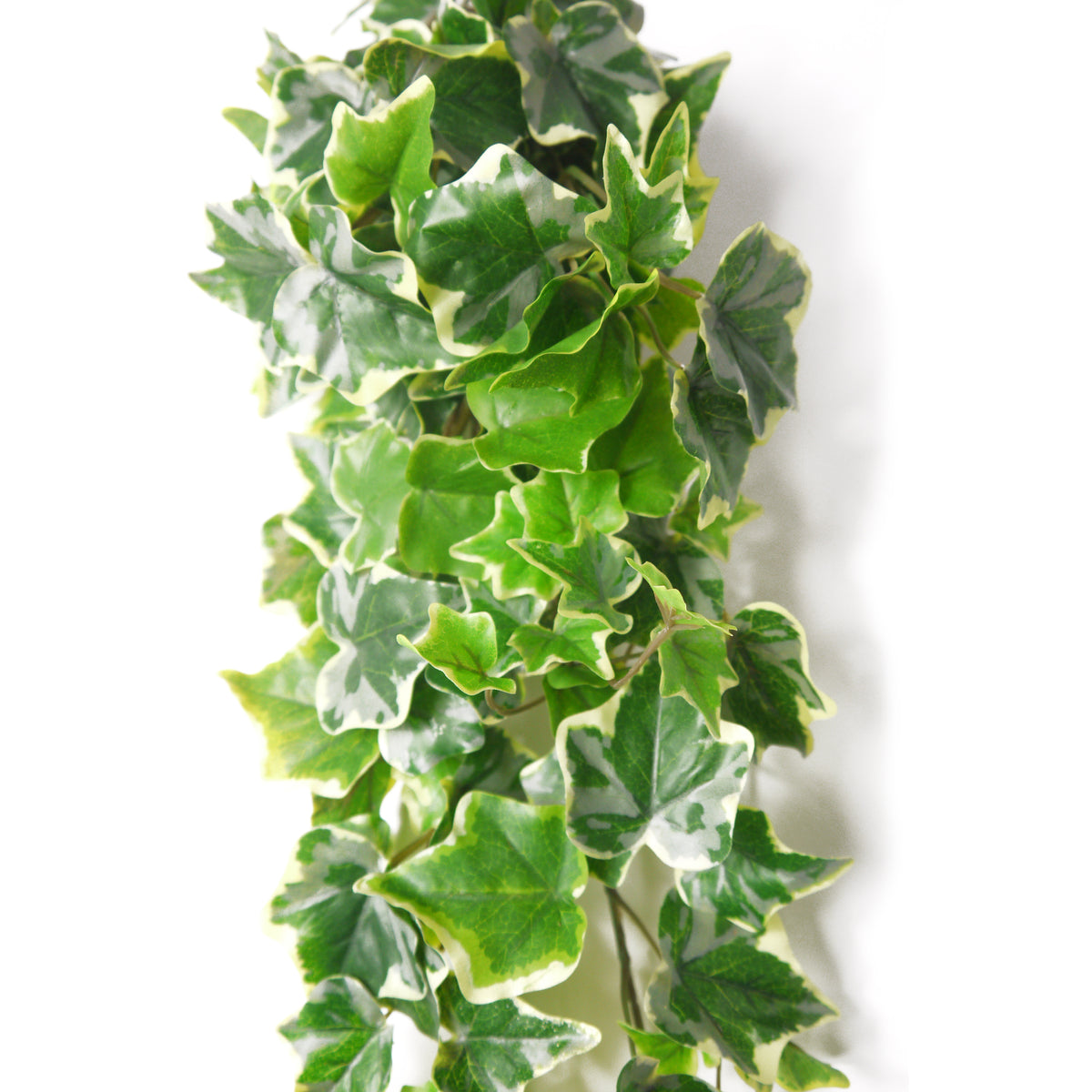 Artificial Trailing Ivy - Variegated, 85cm