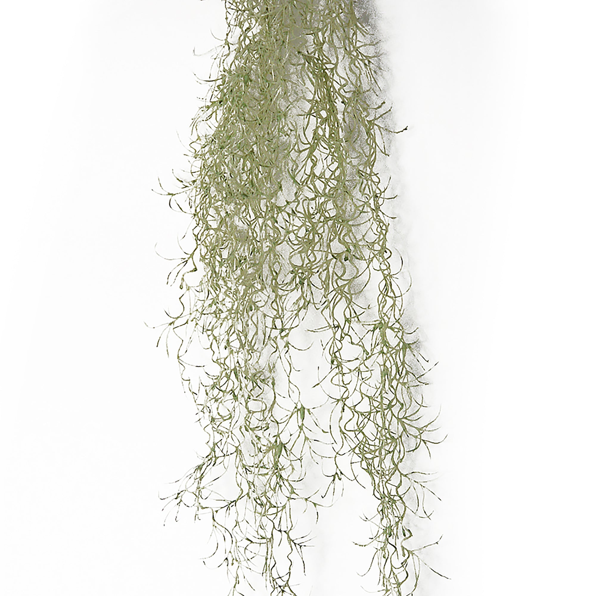 Artificial Tillandsia Spanish Moss - Grey, 85cm