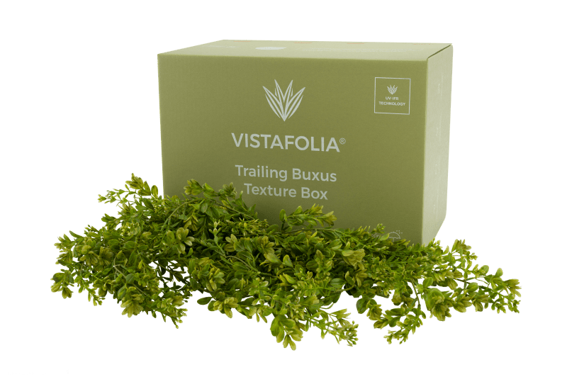 Artificial Green Wall Texture Box -  Trailing Buxus