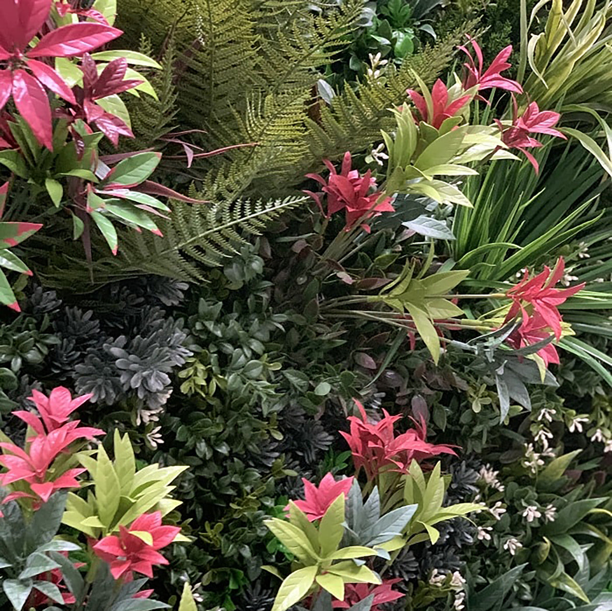 Invigorating reds blend with the green to create a stunning view. Use these lush plants where you please. they are designed to enhance or accent your wall by simply slotting them into the Vistafolia Panel where you want them.