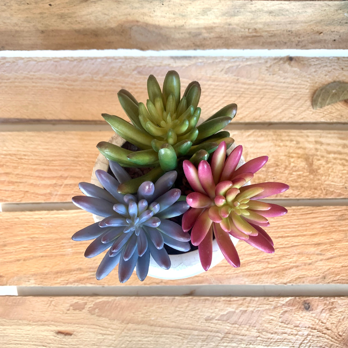 Faux Small Agave Succulent Head in Purple - 7cm