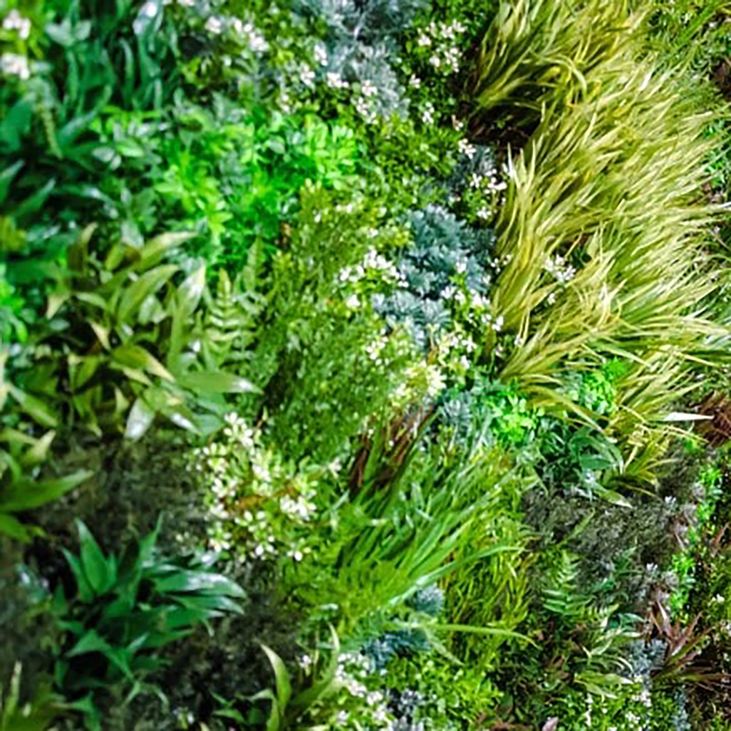 Artificial Green Wall Texture Box -  Large Grasses