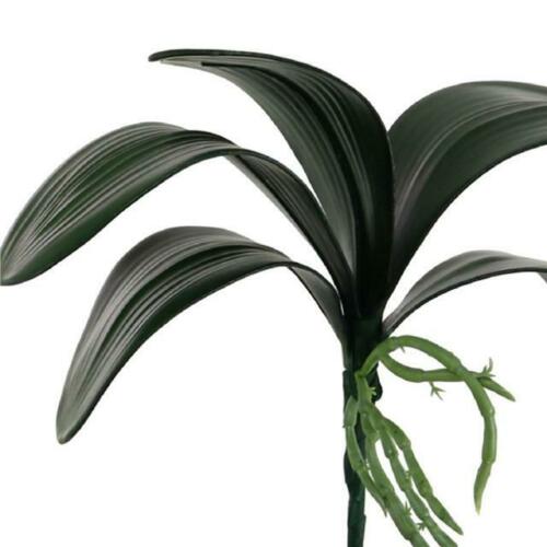 Artificial Large Phalaenopsis Orchid Leaf, 25cm